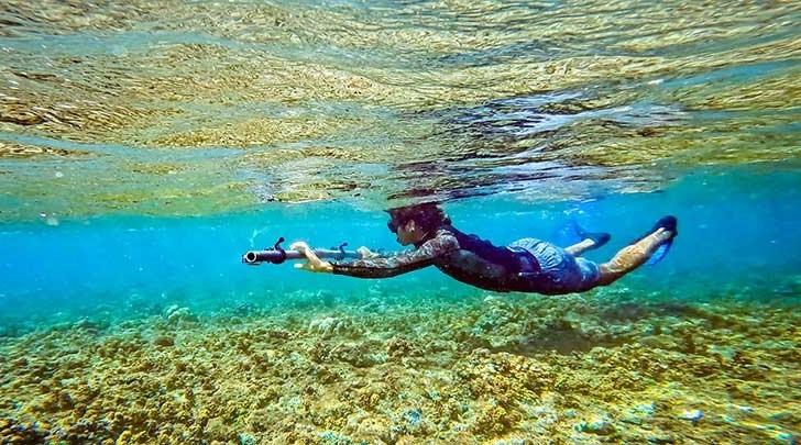 sammy basa snorkels underwater while surveying